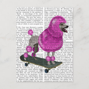 Pink Poodle and Skateboard Postcard