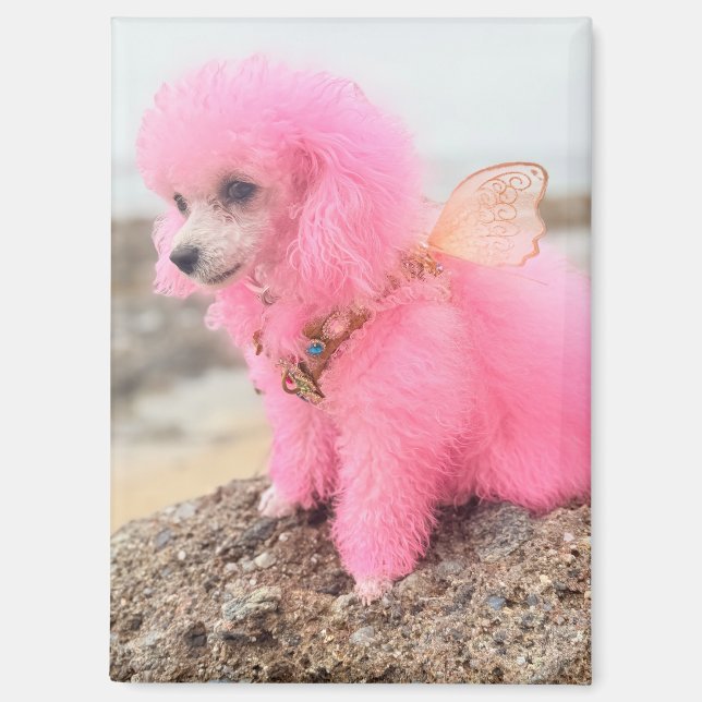 Pink poodle magnet (Front)