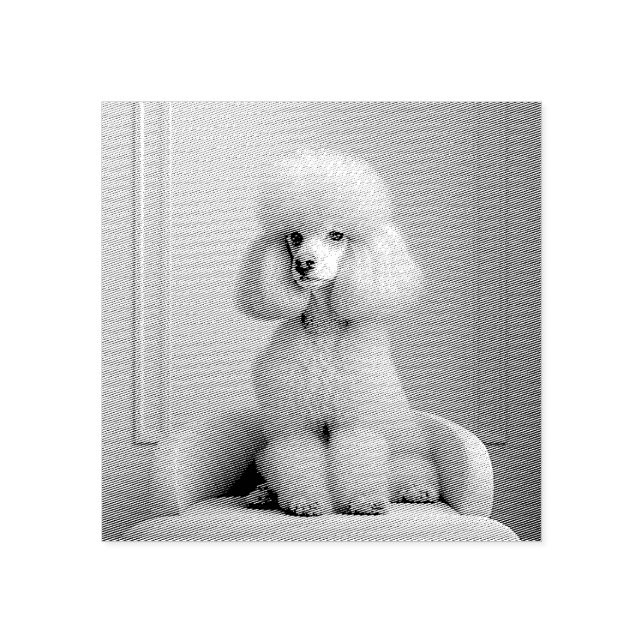 PINK POODLE RUBBER STAMP (Imprint)