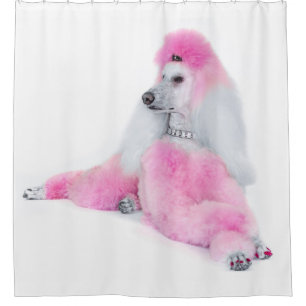 Pink Poodle Shower Curtain