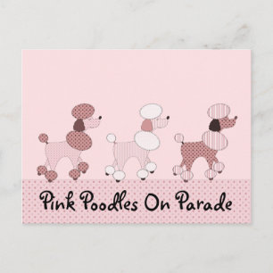 Pink Poodles On Parade Postcard
