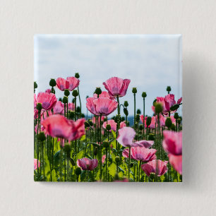 Pink Poppies 15 Cm Square Badge