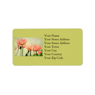 Pink Poppies and Floral Swirls Address Labels