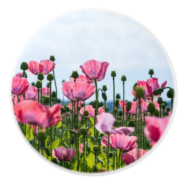 Pink Poppies Ceramic Knob (Front)