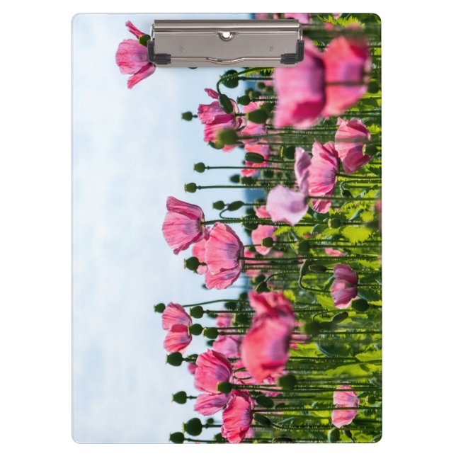 Pink Poppies Clipboard (Front)