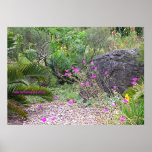 Pink Poppies Garden Poster