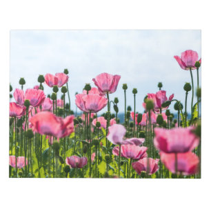 Pink Poppies Notepad