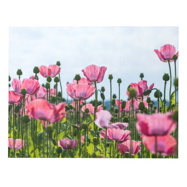 Pink Poppies Notepad (Front)