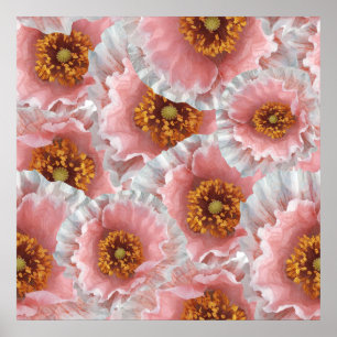 pink poppies poster