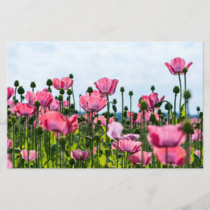 Pink Poppies Stationery