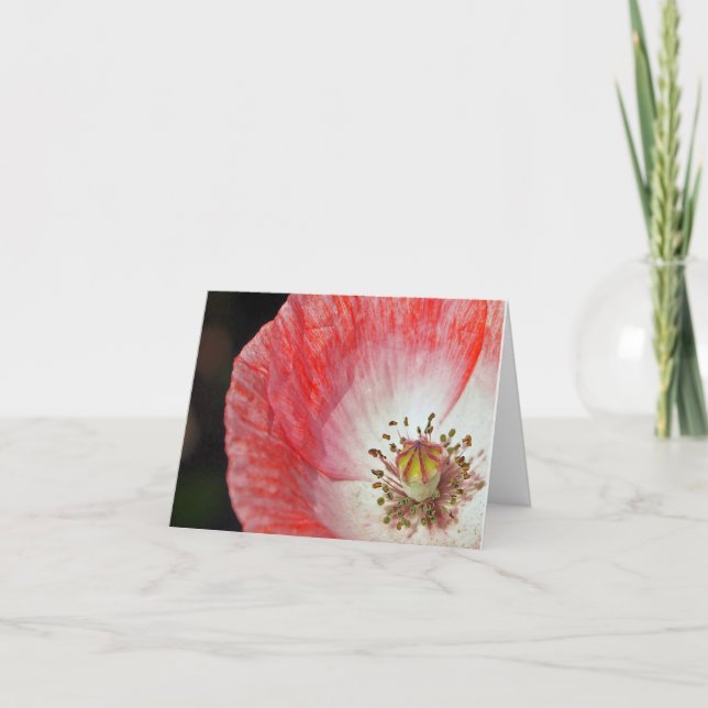 Pink Poppy Birthday Card (Front)