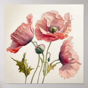 Pink Poppy Flowers Art Print Poster