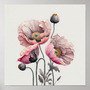 Pink Poppy Flowers Art Print Poster