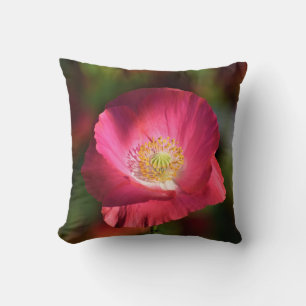 Pink Poppy in the Sunshine Photograph Cushion