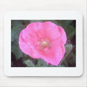 Pink Poppy Mouse Pad