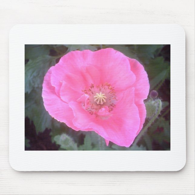 Pink Poppy Mouse Pad (Front)