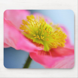 Pink Poppy Mouse Pad