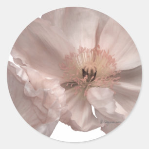 Pink Poppy Wedding Invitation Seals