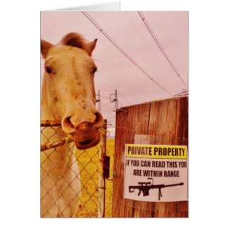 Pink Private Property Horse