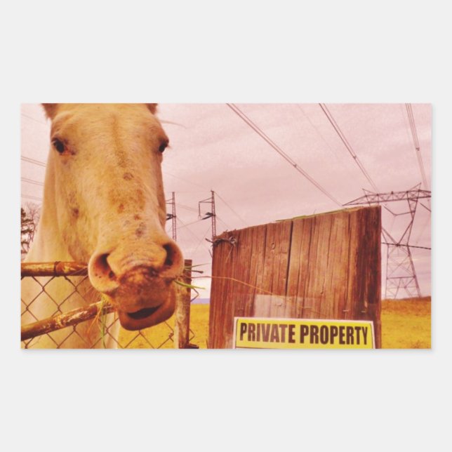 Pink Private Property Horse Rectangular Sticker (Front)