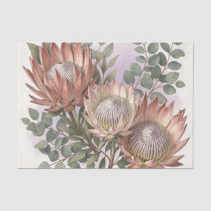 Pink Protea Eucalyptus Botanical Arrangement Tissue Paper