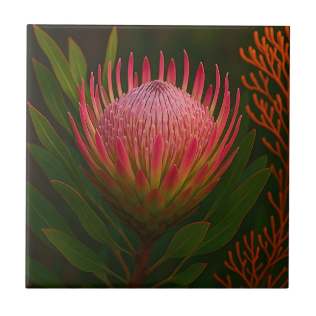 Pink Protea Flower Exotic Bloom Ceramic Tile (Front)