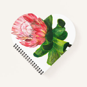 Pink protea, king protea flower, tropical, africa notebook