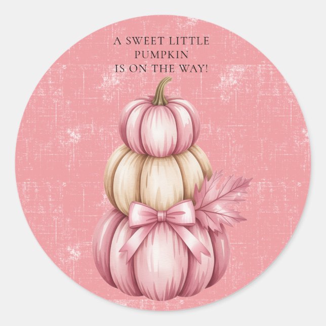 Pink Pumpkin Baby Girl Shower Classic Round Sticker (Front)