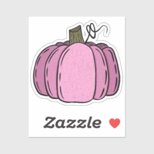 Pink Pumpkin to Decorate