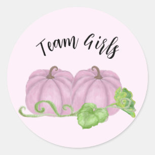 Pink pumpkin twin gender reveal Team Girls Classic Round Sticker