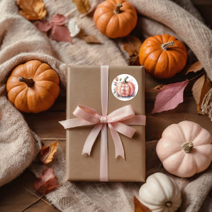 Pink Pumpkin Watercolor Boho Baby Girl Shower Classic Round Sticker