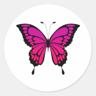 Pink & purple butterfly classic round sticker