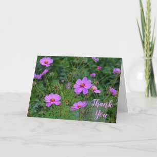 Pink Purple Cosmos Flower Thank You Message Card