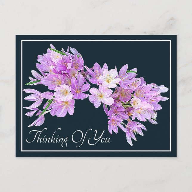 Pink/Purple Crocus Grey Backdrop Thinking Of You Postcard (Front)