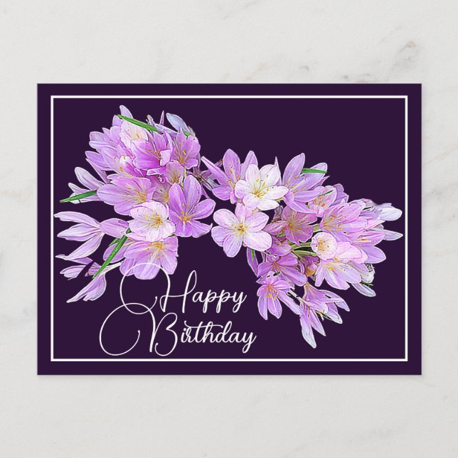 Pink/Purple Crocus Purple Backdrop Happy Birthday Postcard (Front)