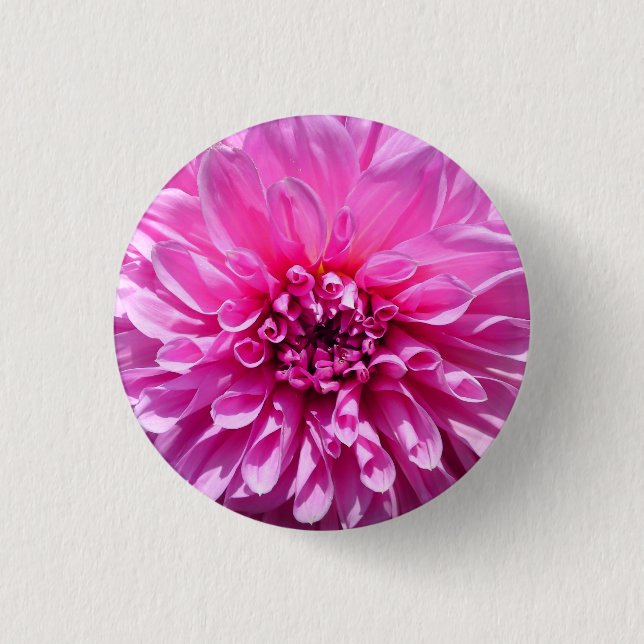 Pink Purple Dahlia Flower  3 Cm Round Badge (Front)