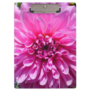 Pink Purple Dahlia Flower Clipboard