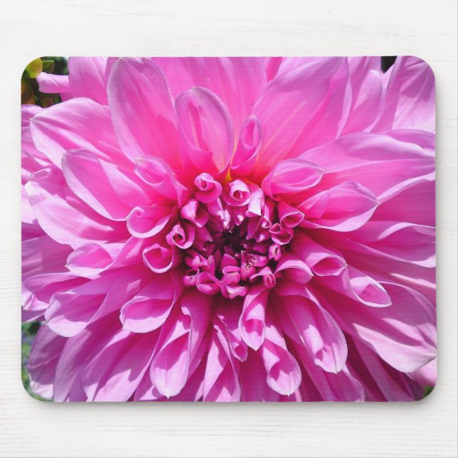 Pink Purple Dahlia Flower Mouse Pad (Front)