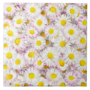 Pink Purple Daisy Flower Pattern Ceramic Tile