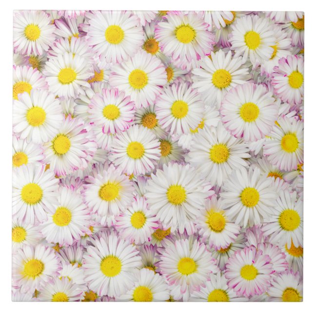 Pink Purple Daisy Flower Pattern Ceramic Tile (Front)