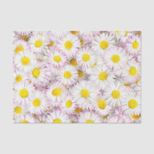 Pink Purple Daisy Flower Pattern Tissue Paper