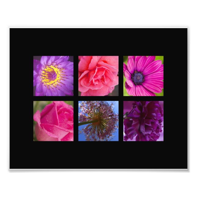 Pink & Purple Flowers Photo Print (Front)