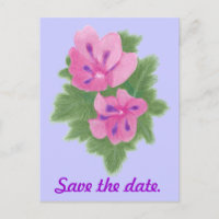 Pink Purple Geranium Save the date Postcards