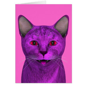 Pink Purple Kitty Face