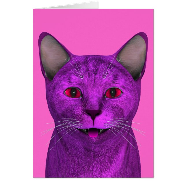 Pink Purple Kitty Face (Front)