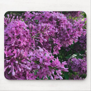 Pink purple lilacs   romantic pink floral photo mouse pad