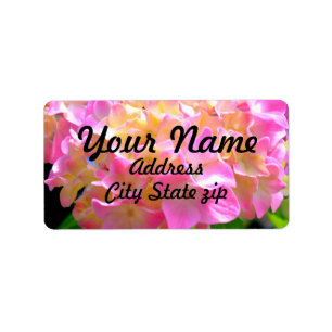 Pink purple orange hydrangeas label