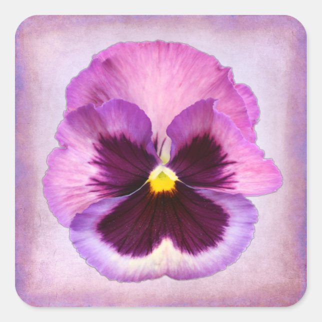 Pink Purple Pansy Flower Square Sticker (Front)