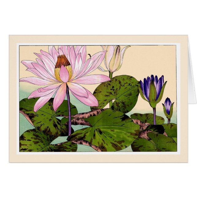 Pink & Purple Waterlilies, Botanicals Art Card (Front Horizontal)