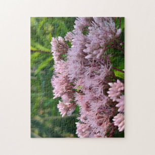 Pink Pye Weed Lens Jigsaw Puzzle